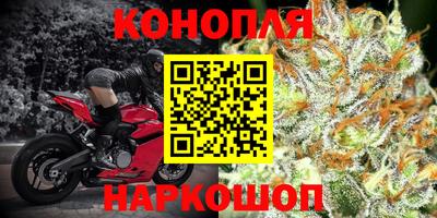 прущие крисы Краснознаменск