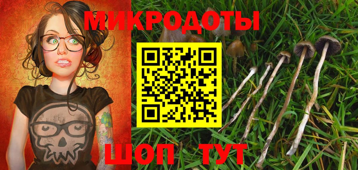 Канск  Псилоцибиновые грибы мицелий  Вход с VPN 